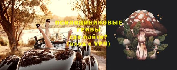 амф Арсеньев
