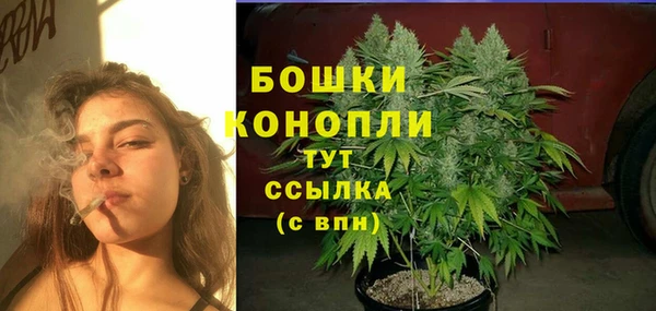 амф Арсеньев